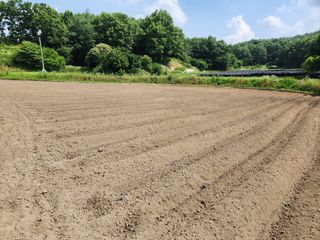 성실한농장님의 자유주제 · 자유게시판 작성글 사진