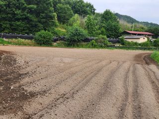 성실한농장님의 자유주제 · 자유게시판 작성글 사진