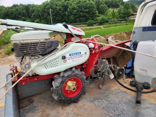 성실한농장님의 자유주제 · 자유게시판 작성글 사진