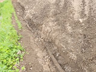 성실한농장님의 자유주제 · 자유게시판 작성글 사진