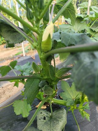 남궁. 정님의 자유주제 · 자유게시판 작성글 사진