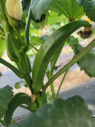 남궁. 정님의 자유주제 · 자유게시판 작성글 사진