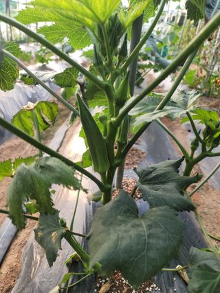 남궁. 정님의 자유주제 · 자유게시판 작성글 사진