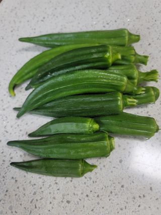 남궁. 정님의 자유주제 · 자유게시판 작성글 사진