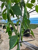 팜모닝 자유주제·자유게시판 게시글 이미지