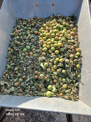 론멜님의 자유주제 · 자유게시판 작성글 사진