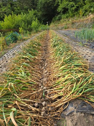 김대기님의 자유주제 · 자유게시판 작성글 사진