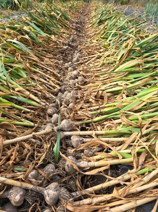 김대기님의 자유주제 · 자유게시판 작성글 사진