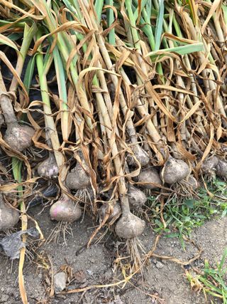 김대기님의 자유주제 · 자유게시판 작성글 사진