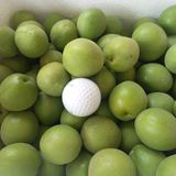 팜모닝 자유주제·자유게시판 게시글 이미지