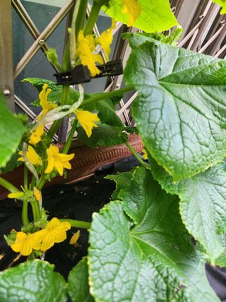 베로니카님의 자유주제 · 자유게시판 작성글 사진