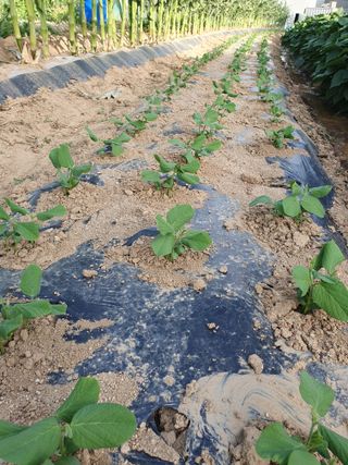 주옥님의 자유주제 · 자유게시판 작성글 사진