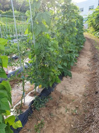 주옥님의 자유주제 · 자유게시판 작성글 사진