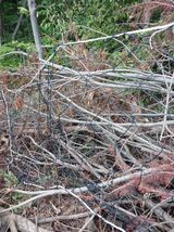 팜모닝 자유주제·자유게시판 게시글 이미지