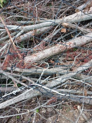 고성운님의 자유주제 · 자유게시판 작성글 사진