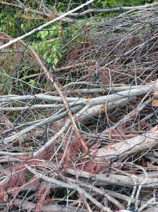 고성운님의 자유주제 · 자유게시판 작성글 사진