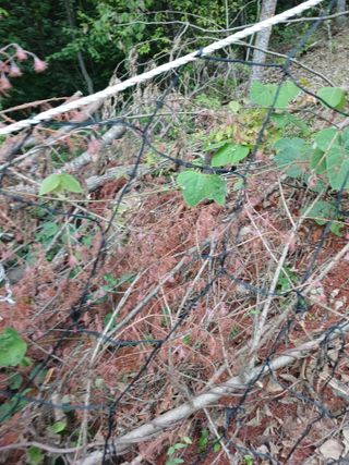 고성운님의 자유주제 · 자유게시판 작성글 사진