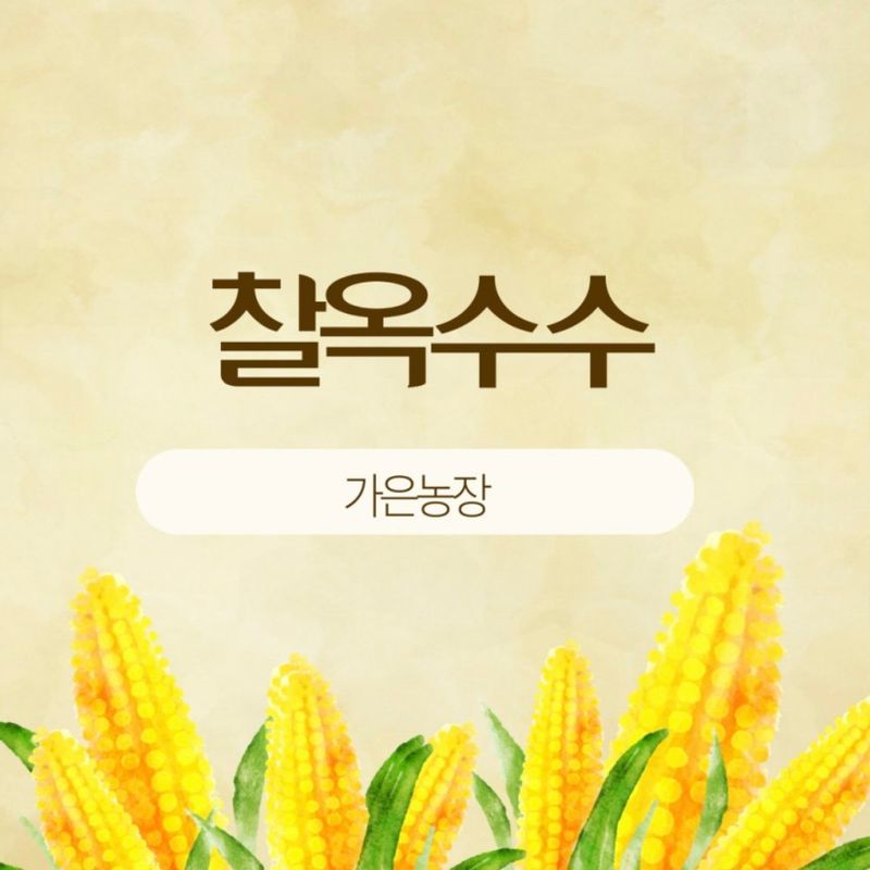 홍순걸님의 장터 판매 상품 [군위 미백 찰옥수수 20개] 첨부 사진