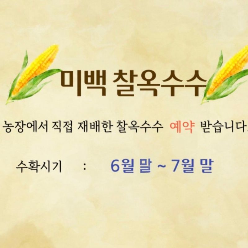 홍순걸님의 장터 판매 상품 [군위 미백 찰옥수수 20개] 첨부 사진
