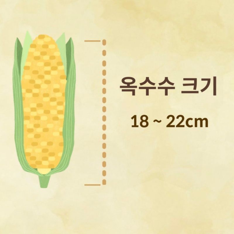 홍순걸님의 장터 판매 상품 [군위 미백 찰옥수수 20개] 첨부 사진
