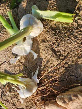 최승일님의 작성글 사진