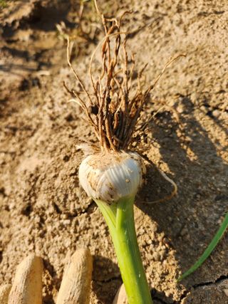 최승일님의 작성글 사진