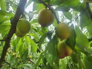 김육환님의 작성글 사진