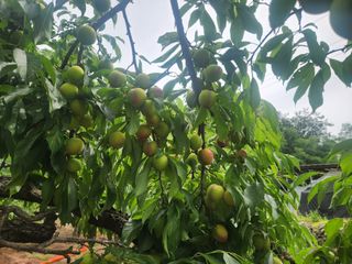 김육환님의 작성글 사진