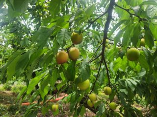 김육환님의 작성글 사진