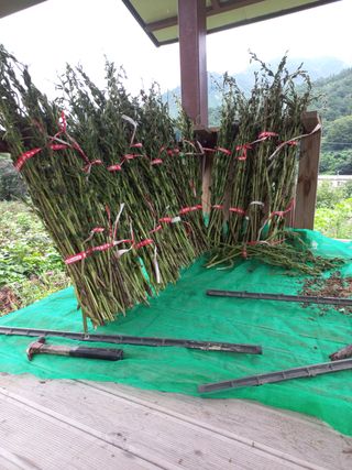 서연성님의 귤 · 일상 작성글 사진