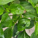 팜모닝 자유주제·자유게시판 게시글 이미지