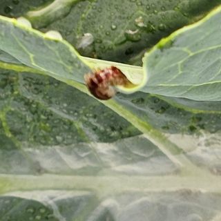 백용기님의 자유주제 · 자유게시판 작성글 사진
