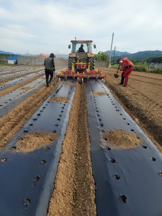 다둥이네농장님의 콩 · 영농일지 작성글 사진