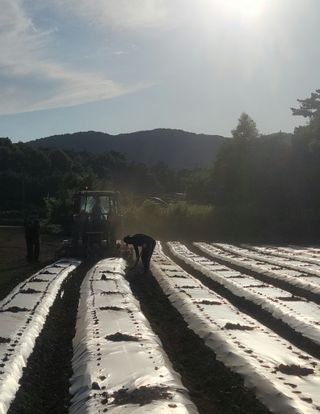 다둥이네농장님의 콩 · 영농일지 작성글 사진