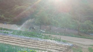 엉뚱한농사꾼임경섭님의 콩 · 영농일지 작성글 사진