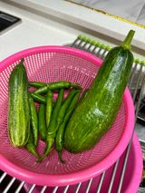 팜모닝 자유주제·칭찬해요 게시글 이미지