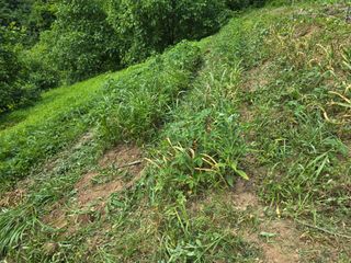 주주농장님의 기타작물 · 영농일지 작성글 사진