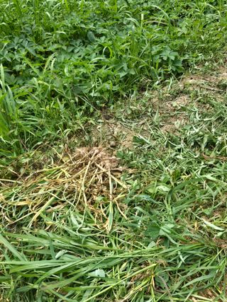 주주농장님의 기타작물 · 영농일지 작성글 사진