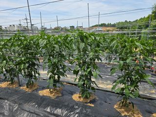 홍성덕님의 자유주제 · 자유게시판 작성글 사진