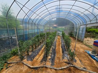 홍성덕님의 자유주제 · 자유게시판 작성글 사진