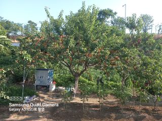 황인수님의 자유주제 · 자유게시판 작성글 사진