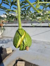 팜모닝 자유주제·자유게시판 게시글 이미지