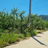 팜모닝 사과·영농일지 게시글 이미지