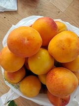 팜모닝 자유주제·사진전 게시글 이미지