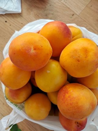 이수명님의 자유주제 · 사진전 작성글 사진