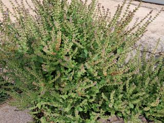 이수명님의 자유주제 · 사진전 작성글 사진