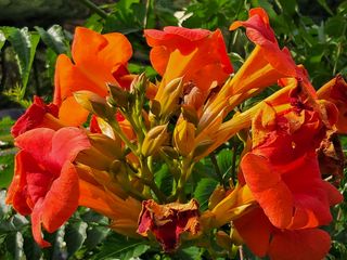 이수명님의 자유주제 · 사진전 작성글 사진