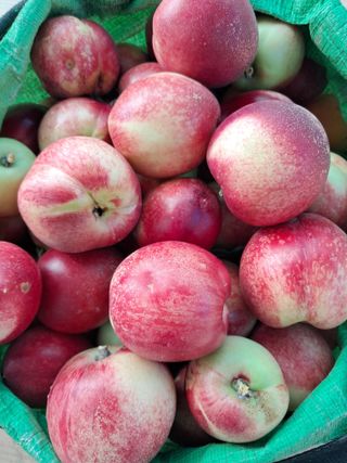 이수명님의 자유주제 · 사진전 작성글 사진