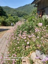 팜모닝 자유주제·자유게시판 게시글 이미지