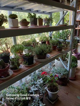 강가이버님의 자유주제 · 자유게시판 작성글 사진